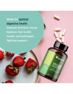 copy of Mountain fox cushion 2