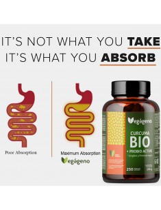 CURCUMA con Jengibre y Pimienta Negra BIO  250 CAPSULAS BIO con PROBIOTICOS Y PREBIOTICOS Máxima Absorción Curcumina. 2
