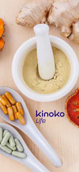 Kinoko life Banner